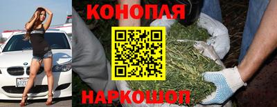 каннабис Кунгур